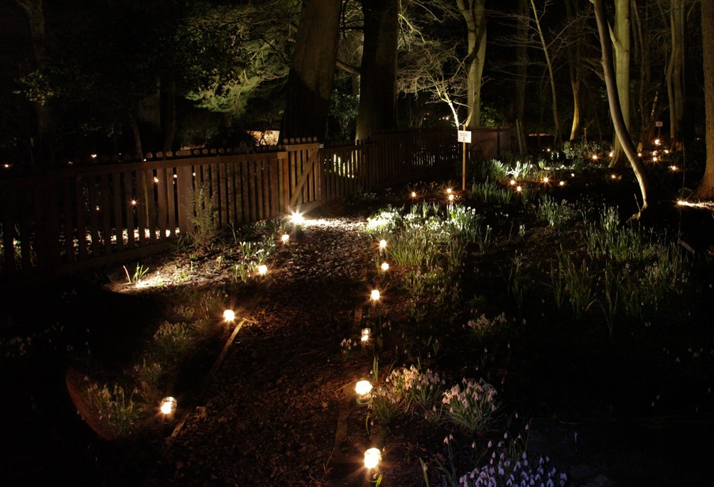 article thumb - snowdrops in candlelight