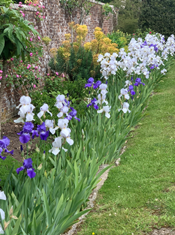Exclusive Garden Tour