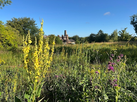 Twyford Waterworks Open Day