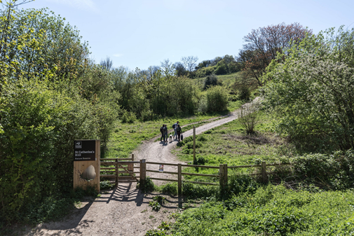A Haiku Walk with Mark Rutter for National Poetry Day