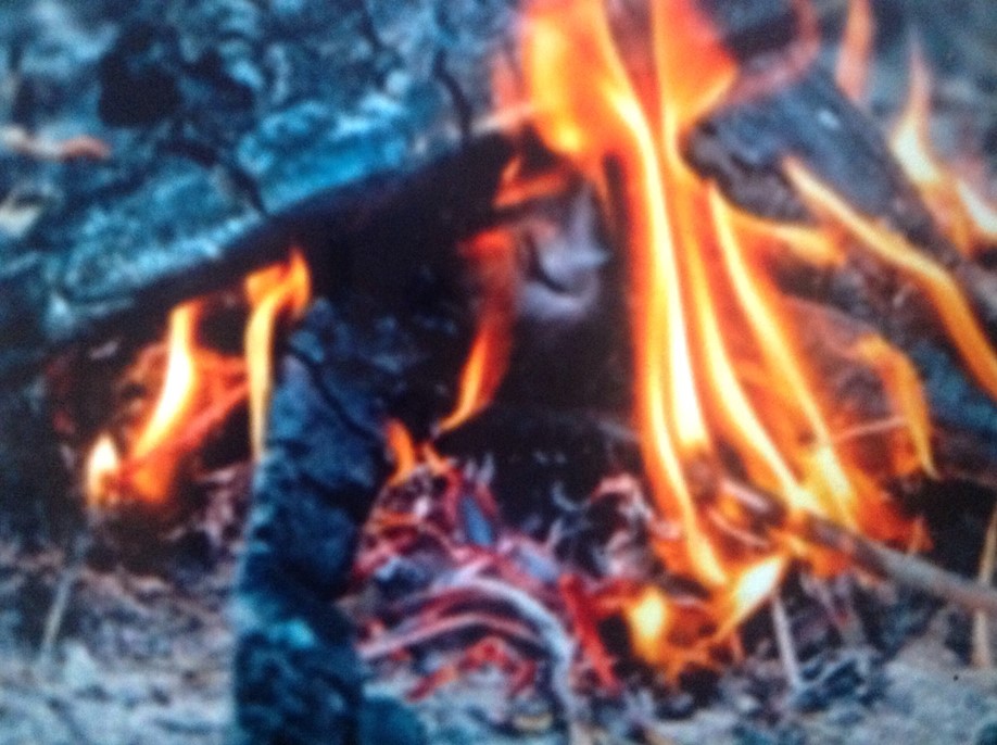 article thumb - Fire Pit Lamb