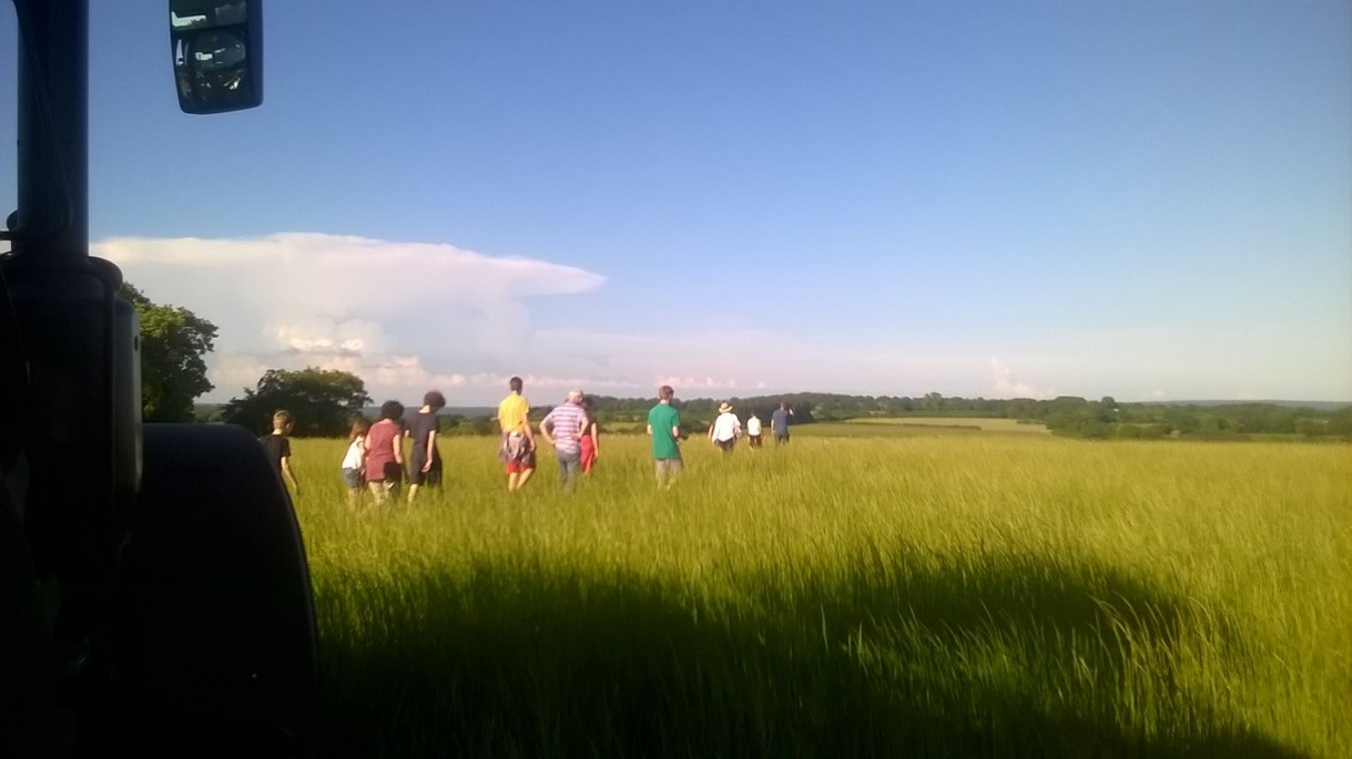 article thumb - A field with families enjoying the view. 