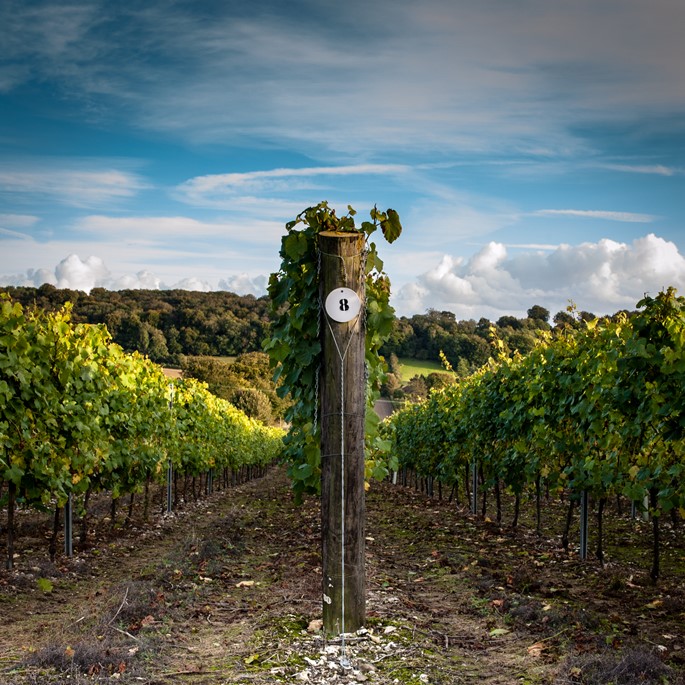 article thumb - winery