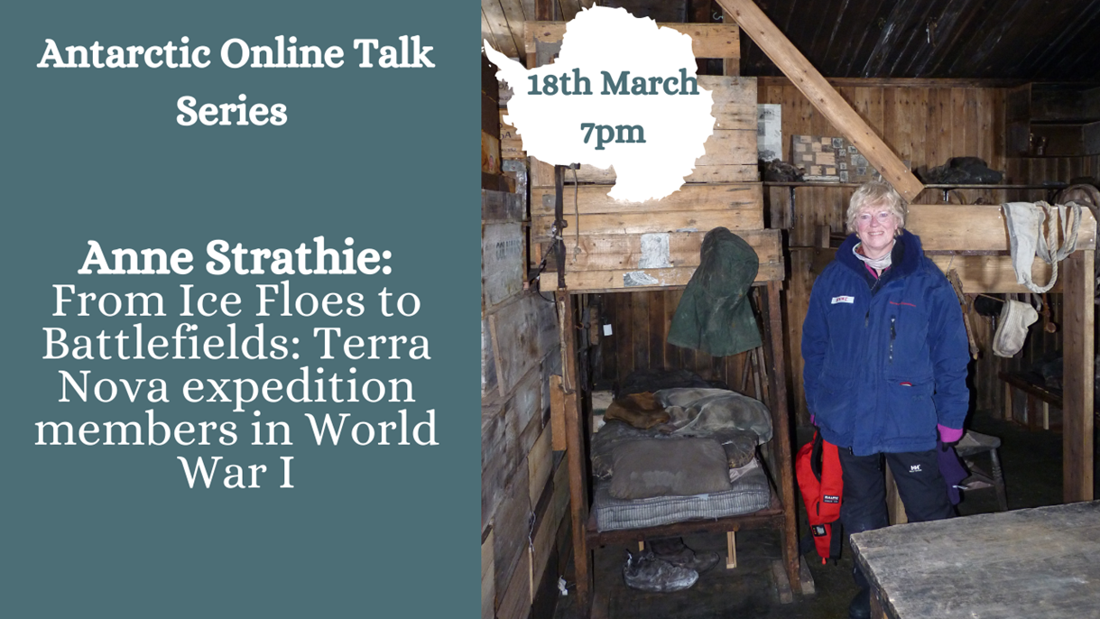 article thumb - Anne Strathie