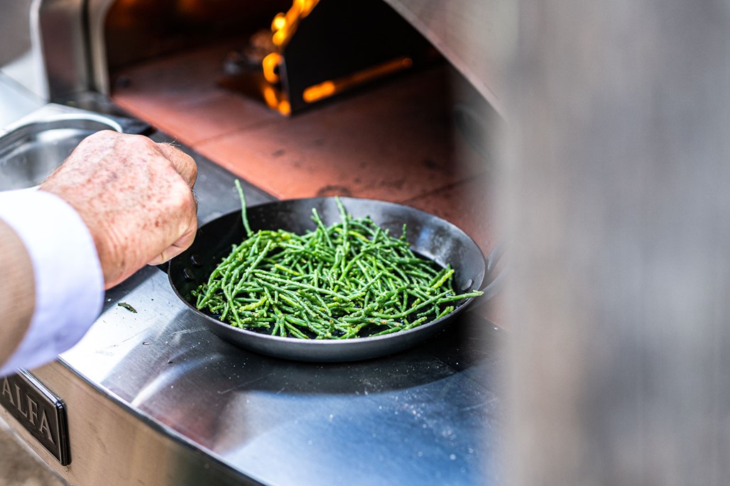 article thumb - Plant Based