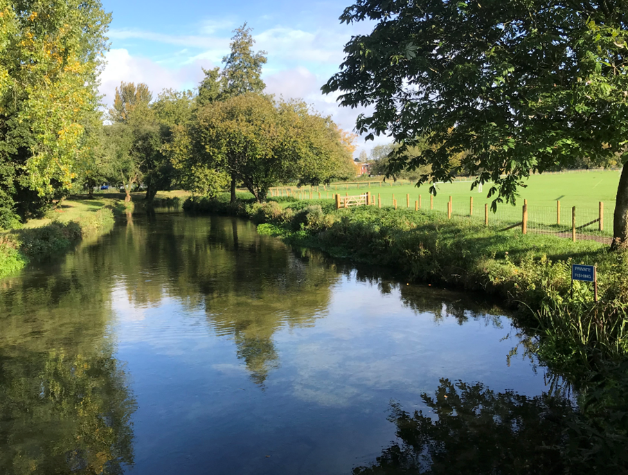 article thumb - Winchester Water Meadows