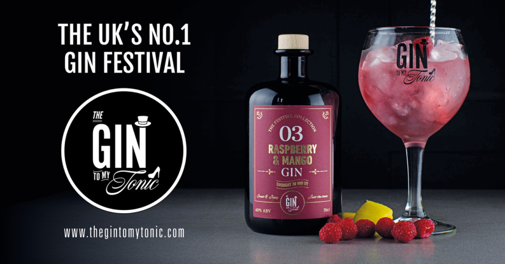 article thumb - Gin To My Tonic Festival