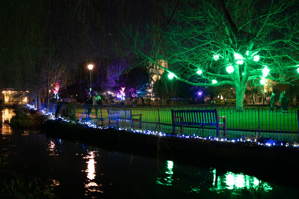 Lights in Abbey Gardens, from 2022 event - Gilbert Yates Photography
