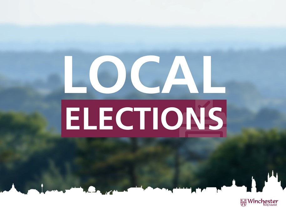 Local Elections web