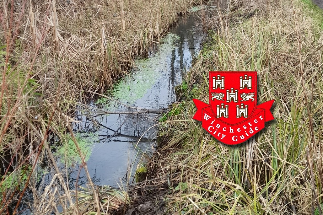 article thumb - The Lockburn waterway