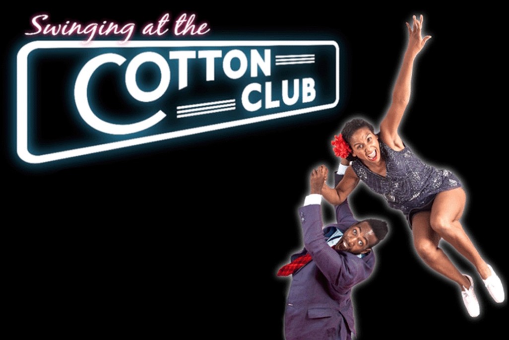 article thumb - cotton-club-2025-large