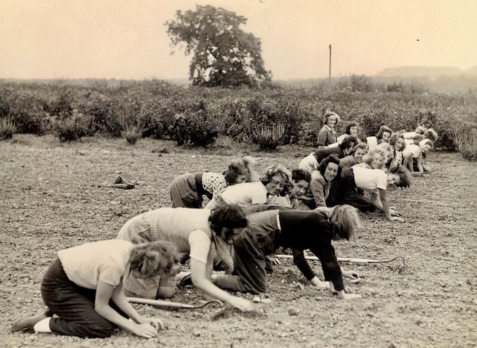 article thumb - Land Army women at Frith Farm, Wickham