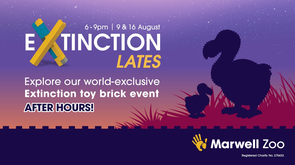 article thumb - Extinction Lates at Marwell Zoo