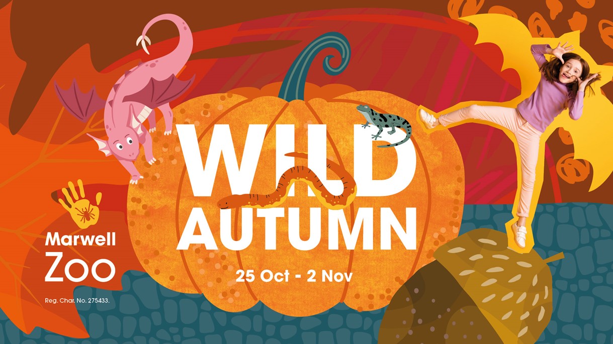 article thumb - Wild Autumn at Marwell Zoo