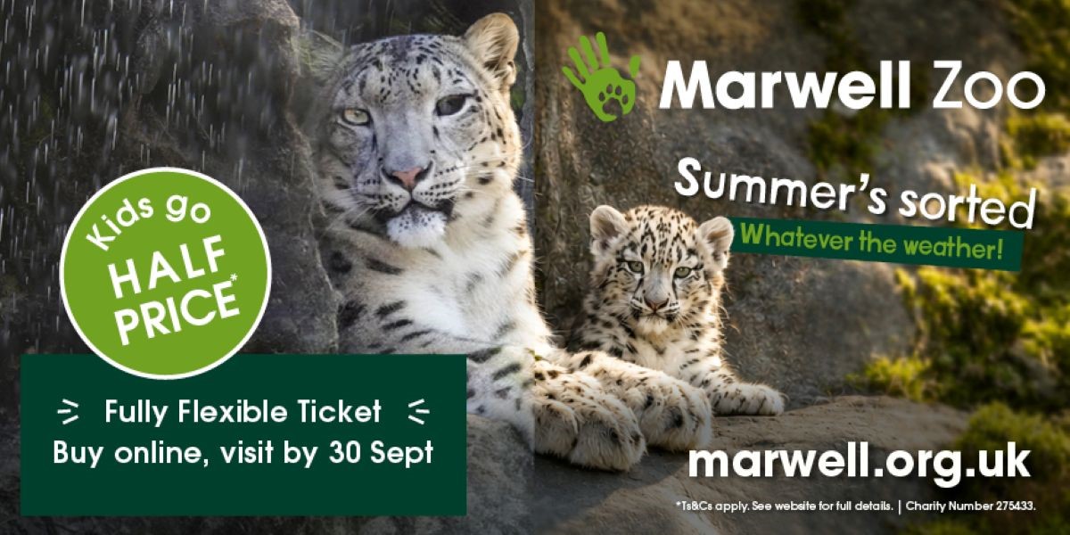 article thumb - Summer offer at Marwell Zoo