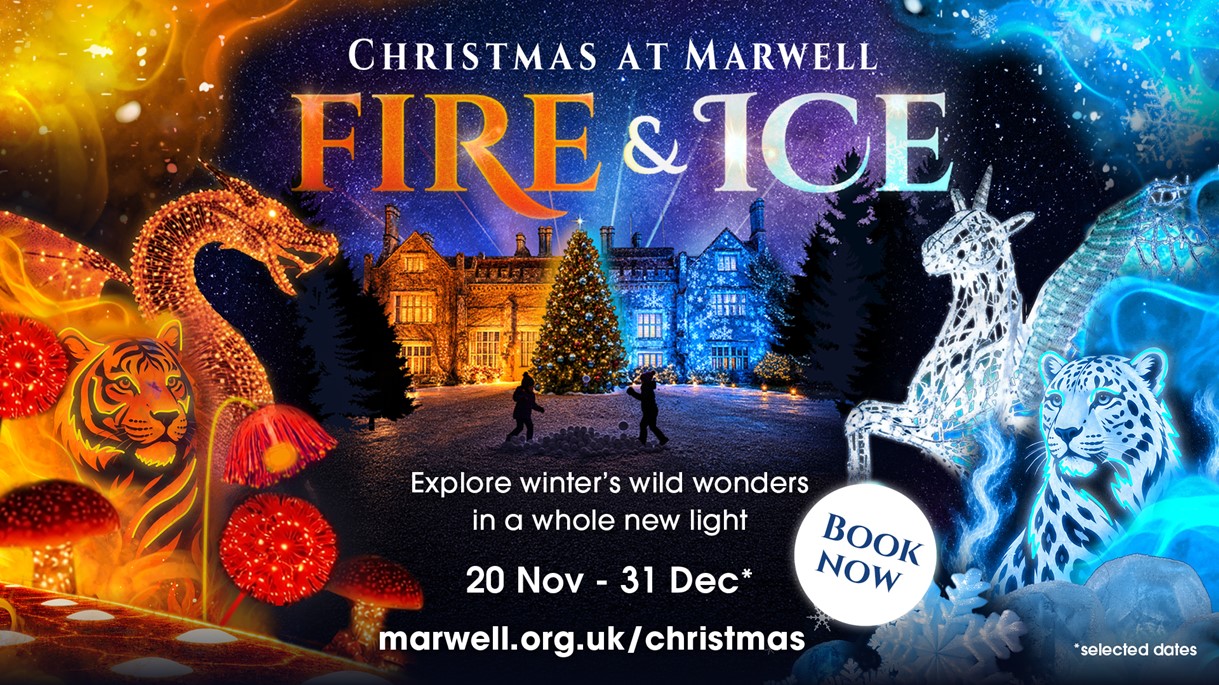 article thumb - Christmas at Marwell