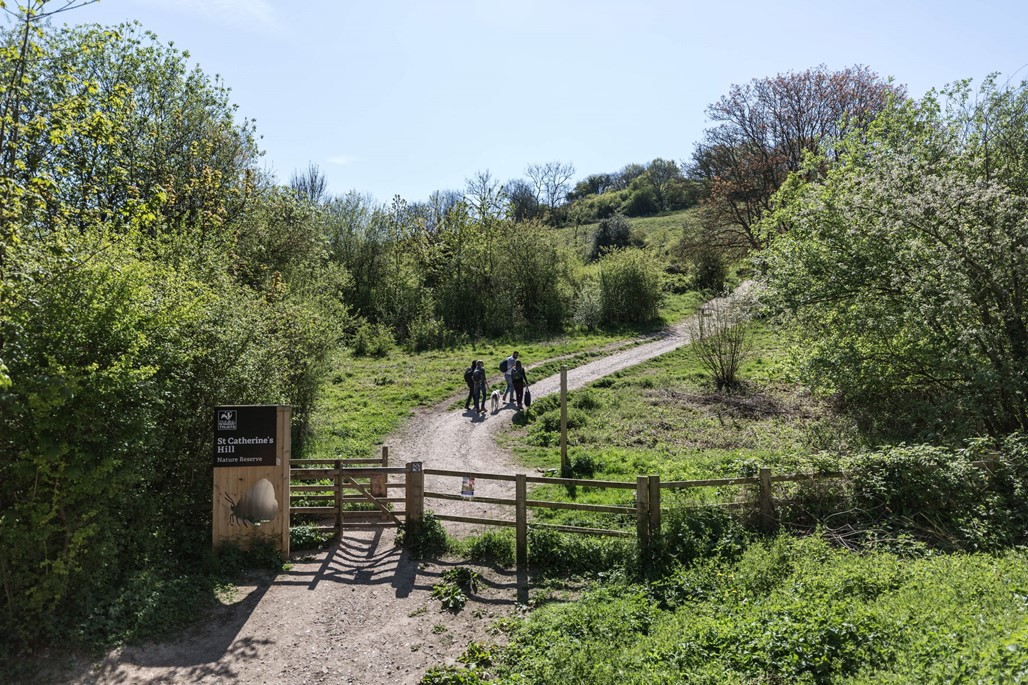 article thumb - A Haiku Walk with Mark Rutter for National Poetry Day 