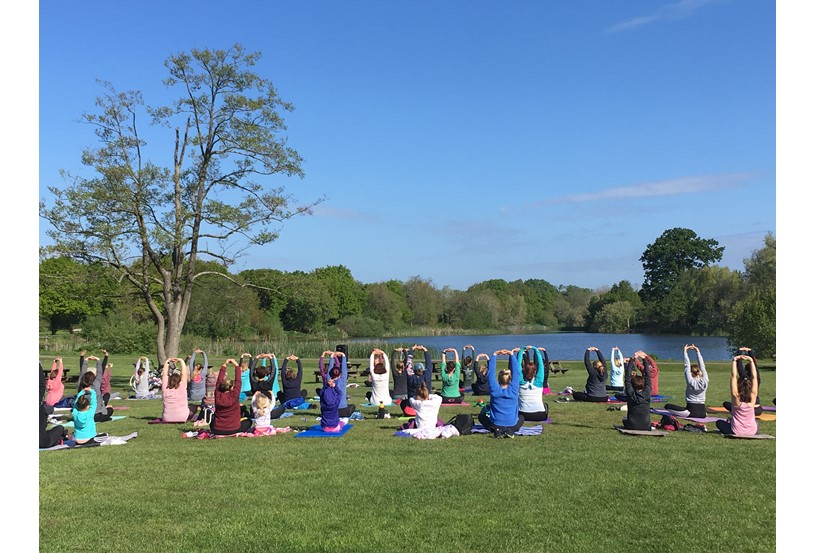 Park Yoga